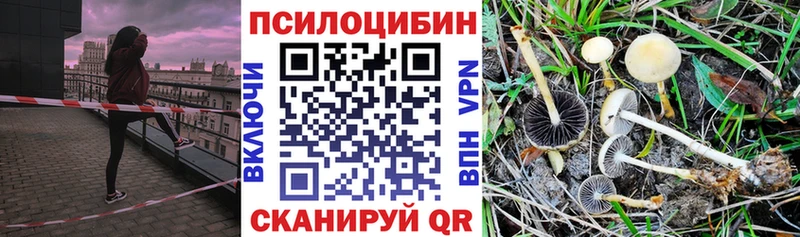 Псилоцибиновые грибы Psilocybine cubensis Горнозаводск