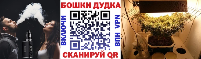 Бошки марихуана ГИДРОПОН  blacksprut ссылки  Горнозаводск 